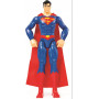 DC 12" Figure Assortment