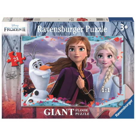Rburg - Frozen 2 Enchanting New World 24pc
