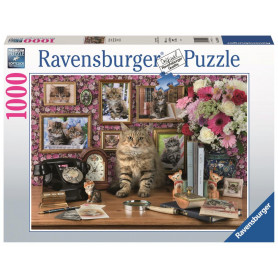 Rburg - My Cute Kitty 1000pc