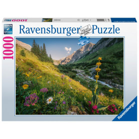Rburg - Magical Valley 1000pc