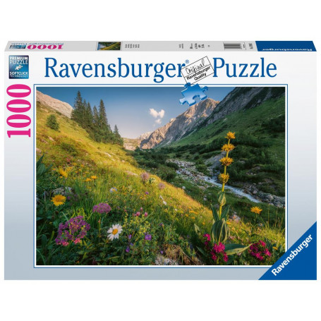 Rburg - Magical Valley 1000pc