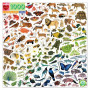 Eeboo1000 Pc Sq Puz R'Bow World