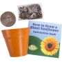 Giant Sunflower