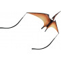 Pterodactyl Jurassic Kite (D24)