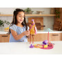 Barbie Ultimate Color Reveal Doll Assortment