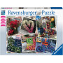Rburg - NYC Flower Flash Puzzle 1000pc