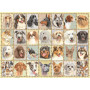 Rburg - Mutt Shots! Puzzle 500pc