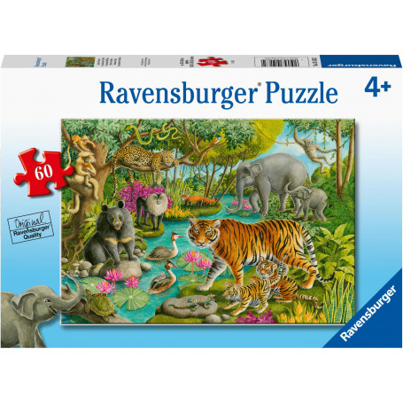 Rburg - Animals Of India Puzzle 60pc