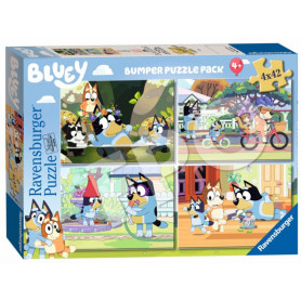 Rburg - Bluey Gotta Be Done! 4x42pc