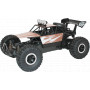 Speed King Sprint Buggy