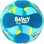 Bluey Soccer Ball