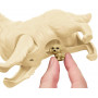 Barbie Feature Pet Assorted