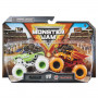 Monster Jam 1:64 Die Cast 2-Pack Assortment