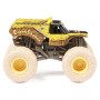 Monster Jam 1:64 Die Cast 2-Pack Assortment