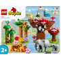 LEGO DUPLO Wild Animals of Asia 10974