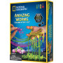 Amazing Worms Chemistry Kit