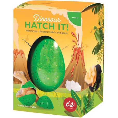 Hatch It! Dinosaur Large Asst