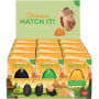 Hatch It! Dinosaur Large Asst