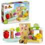 LEGO Organic Market 10983