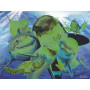 Super 3D 100pc - Ocean Selfie