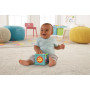 ANIMAL ACTIVITY CUBE