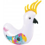 Wahu Cockatoo Racer