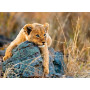 Rburg - Little Lion Puzzle 200pc