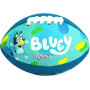 Bluey Mini Footy