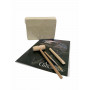 Australian Geographic T-Rex Dino Fossil Dig Kit