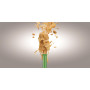 Discovery #Mindblown Reaction Chamber Rocket