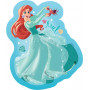 Rburg - Disney Princess 4 Shaped Puz in a Box