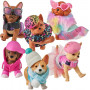 REAL LITTLES S5 CUTIE CARRIES PACK ASSORTED