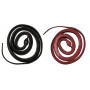 Red-Bellied Black Snake