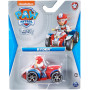 PAW Patrol Aqua True Metal 1:55 Asst
