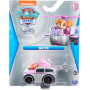 PAW Patrol Aqua True Metal 1:55 Asst