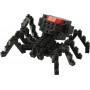 Redback Spider