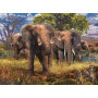 Rburg - Elephant Family 500pc