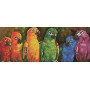 DIAMOND DOTZ RAINBOW PARROTS 77 x 30cm