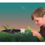 Discovery Zone Bug Study Set