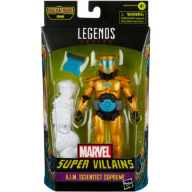 MARVEL LEGENDS LOWLY FOOL