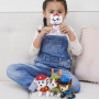 Paw Patrol Mini Plush Asst