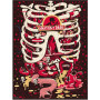 Rick and Morty -  Anatomy Park 1000 Piece Puzzle