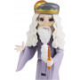 Harry Potter Magical Mini's Small Doll Asst