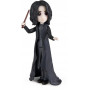 Harry Potter Magical Mini's Small Doll Asst