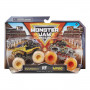 Monster Jam 1:64 Die Cast 2-Pack Assortment