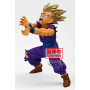 DRAGON BALL Z BLOOD OF SAIYANS-SPECIAL XI