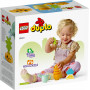 LEGO Growing Carrot 10981