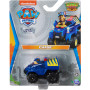 PAW Patrol Aqua True Metal 1:55 Asst