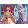Rburg - Frozen 2 Devoted Sisters 60pc