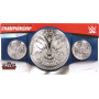 WWE CHAMPIONSHIP TITLE BELTS